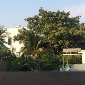 Image contains a photo from a bedroom window. White metal bars are visible in the foreground, and there is a blue sky and green trees in the background. Along with the trees, there are a number of small concrete houses.