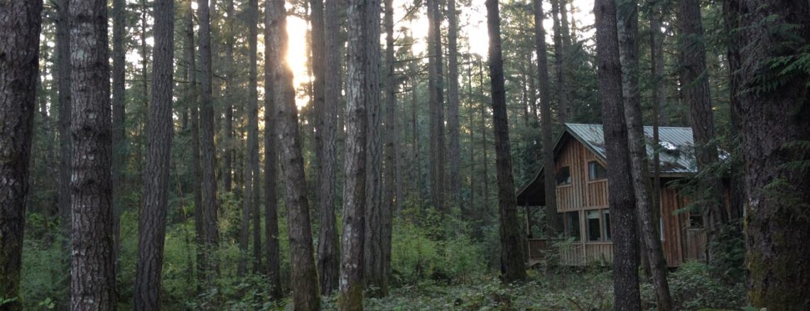 Image contains a photo of a small house in a forest. In the background, the sun is seen setting through the trees.