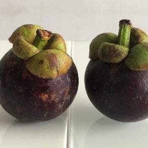 Image contains a photo of two small purple fruit with green stems (mangosteens) on a white table with a white background.