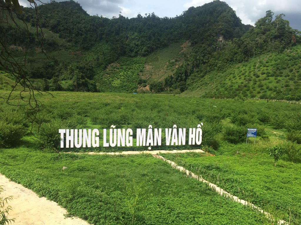 Image contains a photo of a lush green valley filled with trees and plants with green hills in the background. Near the middle of the photo, there is a large sign with white letters that says "Thung lũng mận Vân Hồ".